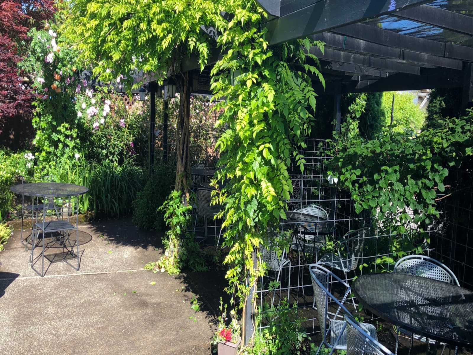 Max on porch coding and playing banjo